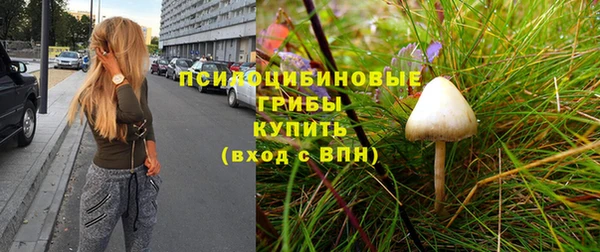 прущая мука Елабуга