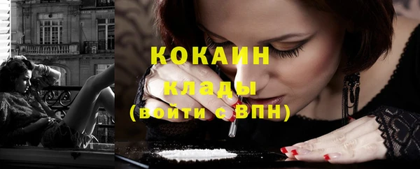 ГАЛЛЮЦИНОГЕННЫЕ ГРИБЫ Ельня
