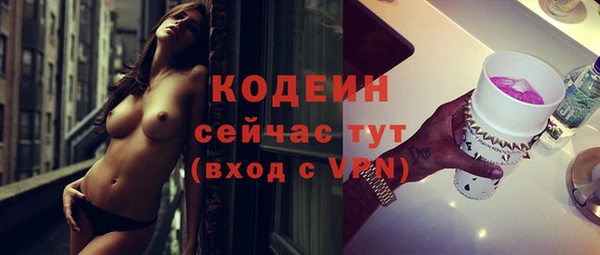 ГАЛЛЮЦИНОГЕННЫЕ ГРИБЫ Ельня