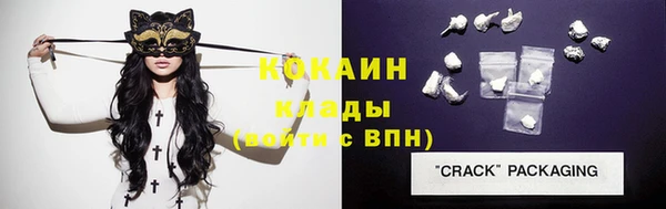 ГАЛЛЮЦИНОГЕННЫЕ ГРИБЫ Ельня