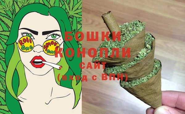 ГАЛЛЮЦИНОГЕННЫЕ ГРИБЫ Ельня