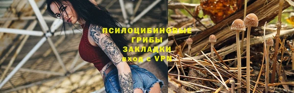 ГАЛЛЮЦИНОГЕННЫЕ ГРИБЫ Ельня