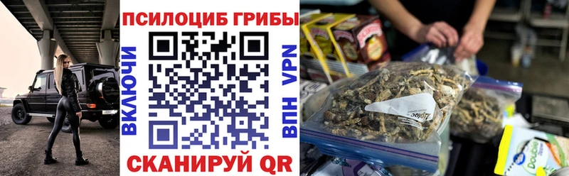 Псилоцибиновые грибы прущие грибы Северская